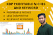 do profitable amazon KDP niche and keyword research for low content book