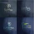 do design professional minimalist logo