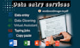 do data entry, copy paste tasks with speed and precision