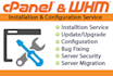 fix dns,email,hosting,domain,cpanel, ftp, whm, mysql issue