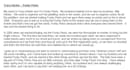 give you accurate and professional transcriptions