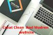 create a clean and modern wordpress website