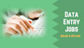 do perfect data entry, web research and copy paste