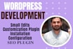 rebuild, edit the wordpress website, wordpress customization