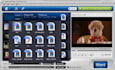 convert video to mp3