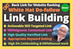 do link building and create high authority backlink