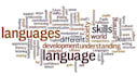 write on english literature and linguistics