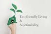 write blogs about sustainability and eco friendly living
