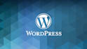develop a wordpress website
