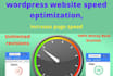 wordpress website speed optimization, increase page speed