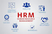 offer consultation on  human resource management