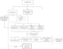 design a flowchart, infographic, and graphical representation of your work