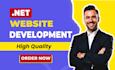 develop professional web applications using dot net