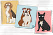 draw high quality custom cartoon illustrations