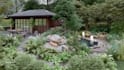 create garden or landscape 3d rendering