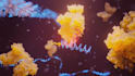 create medical animation video