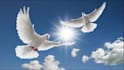 pray with my pastors for your business