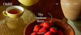 design or edit your professional squarespace website