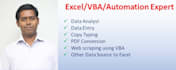 do fastest data entry, copy paste, excel entry, vba expert