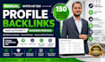 build 150 manual high authority profile backlinks for white hat SEO