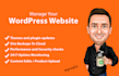 provide monthly maintenance support for wordpress website