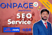 do wordpress onpage SEO service