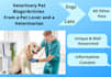 write professional veterinary pet articles and dog blog