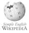 do any audio transcript without spelling mistakes and quickly