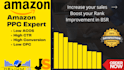 ppc setup, optimize and manage amazon ppc campaigns