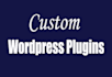 develop a custom wordpress plugin