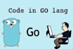 implement all your requirements in golang