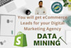 deliver ecommerce store leads for your business