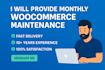provide monthly woocommerce maintenance