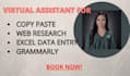 do data entry, copy paste, and web research