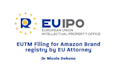 defend you in your eu trademark opposition