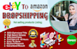 do amazon to ebay dropshipping top listings