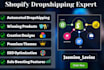 build shopify dropshipping store ecommerce website and shopify website
