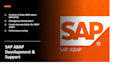 provide sap abap, odata, idoc, badi, rfc, bapi, ui5 support