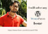 fix wordpress issues or customize wordpress website