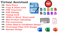 virtual assisant, data entry, web research, copy paste