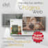 create pages web, design web