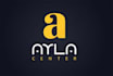am fast and professional in logo design