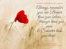 design your book and your journal cover
