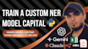 train a custom ner model for names, products, invoices, or medical text