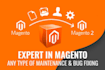 upgrade and protect your magento 2 website professionally
