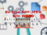 convert PDF or pictures into word document overnight