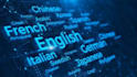 translate your text to any language