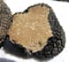 help you train your dog to find truffles