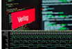 do verilog, vhdl projects using vivado and quartus software