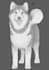 sketch your beloved pet